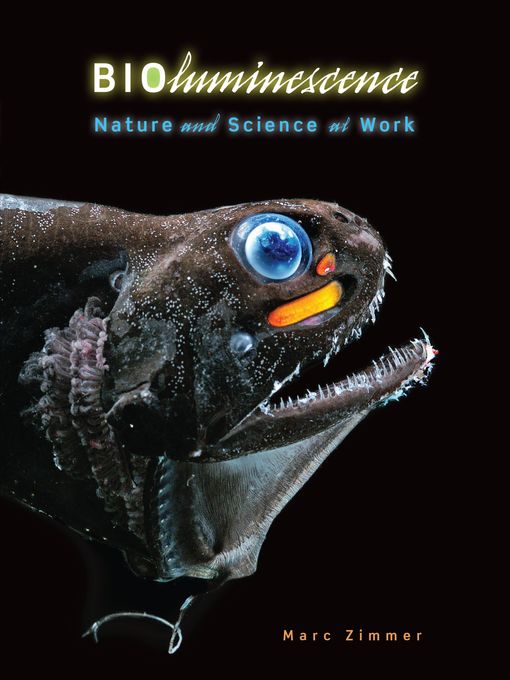 Title details for Bioluminescence by Marc Zimmer - Wait list